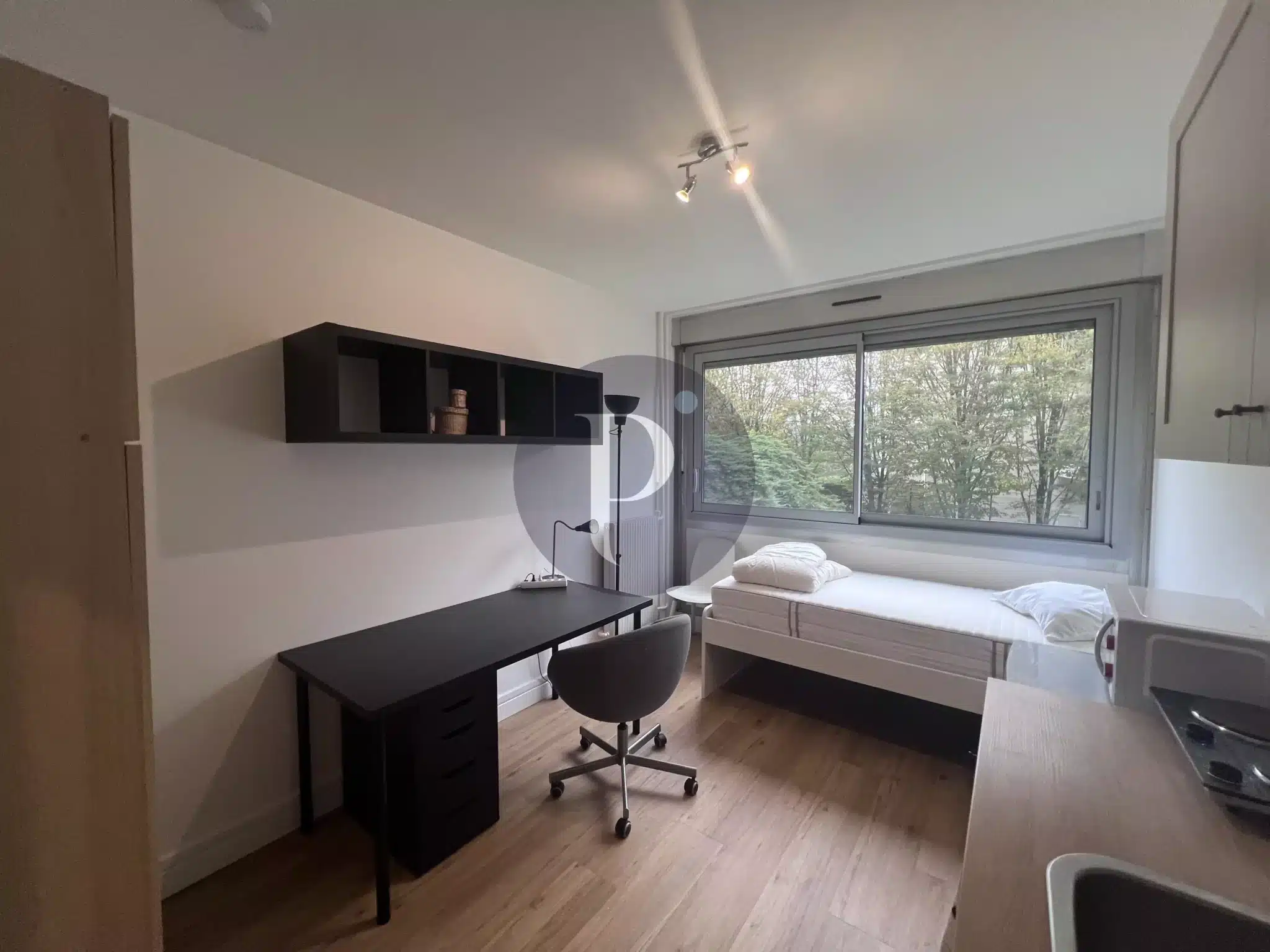 location-immeuble-1-piece-chatenay-malabry-83867588