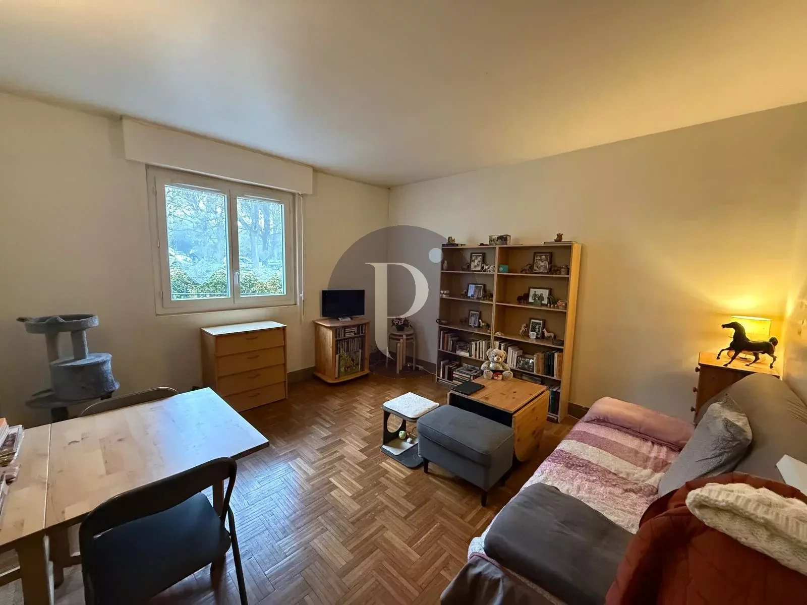 vente-appartement-1-piece-sceaux-86466875