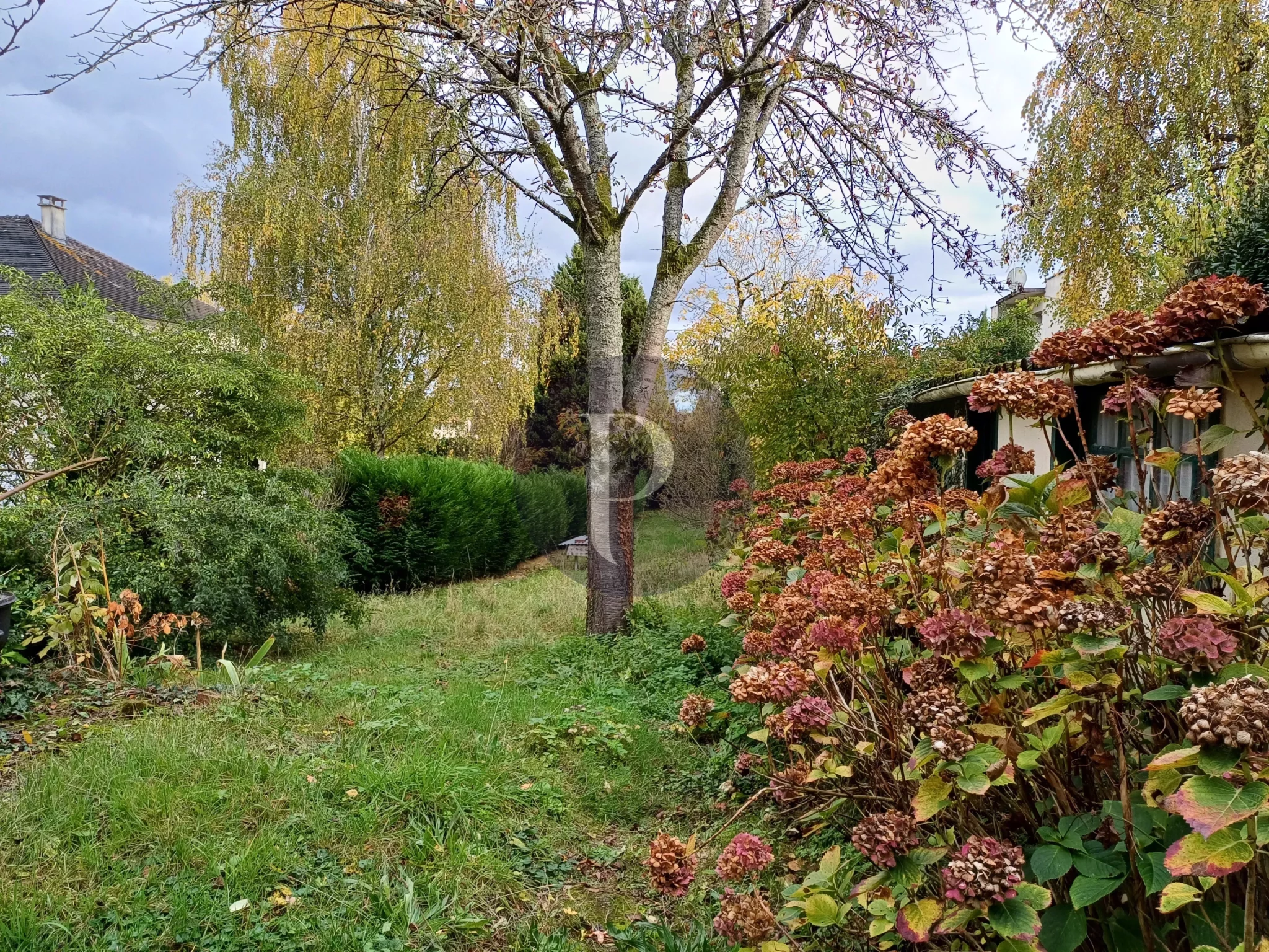 vente-maison-verrieres-le-buisson-86400077