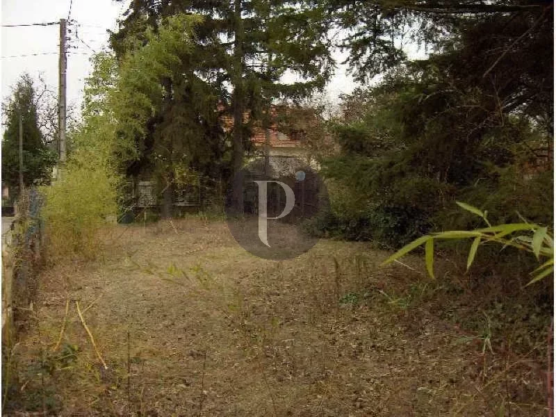 vente-terrain-1-piece-verrieres-le-buisson-83871444