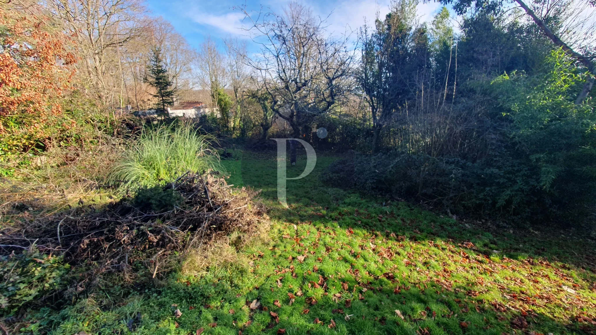 vente-terrain-saclay-87175312