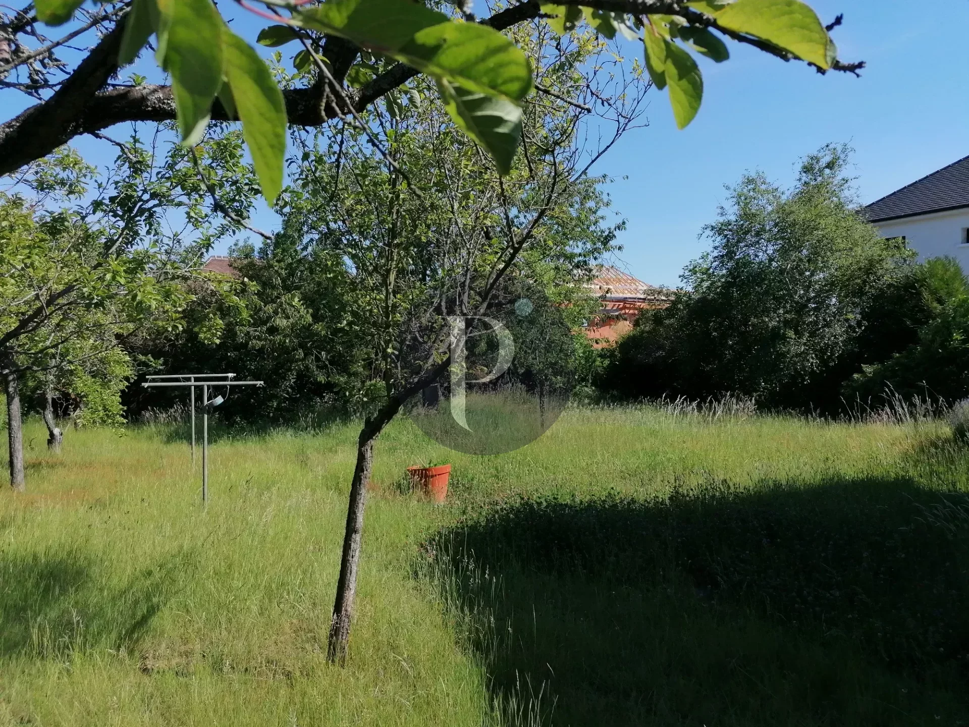 vente-terrain-6-pieces-verrieres-le-buisson-83878060