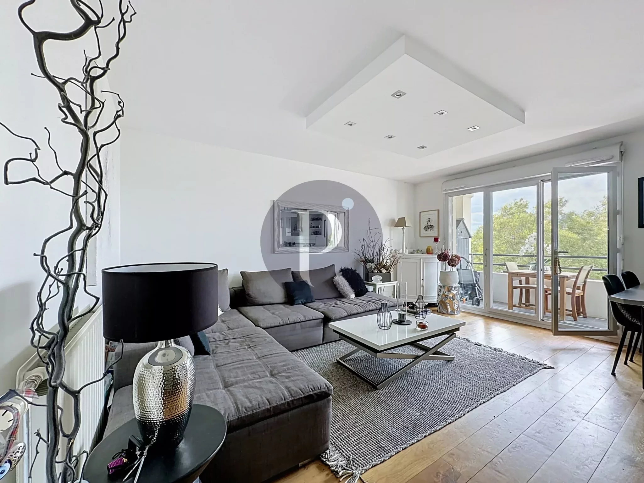 vente-appartement-2-pieces-alfortville-87297413