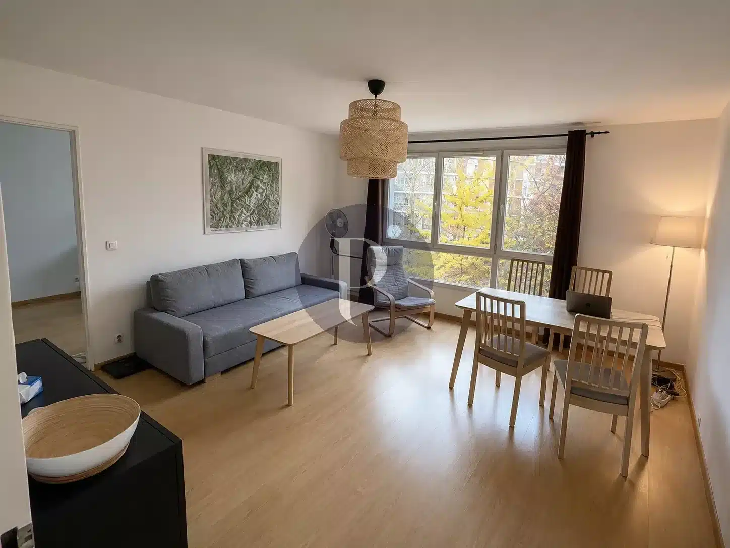 vente-appartement-2-pieces-villejuif-87218060