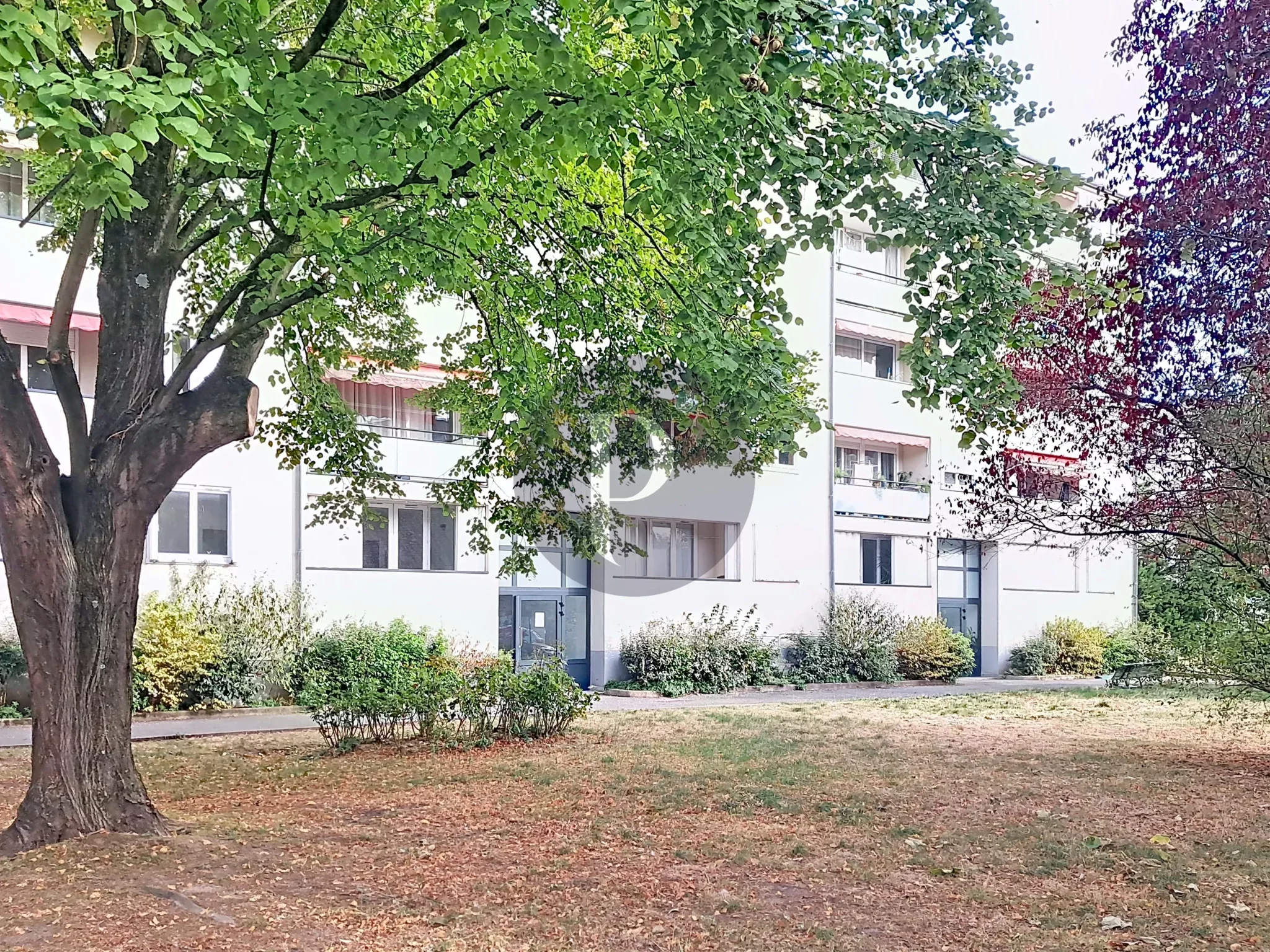 vente-appartement-4-pieces-villejuif-87406315